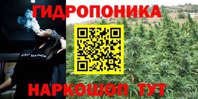 мдма Кингисепп