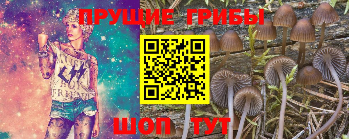 Псилоцибиновые грибы Cubensis Краснокаменск